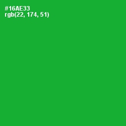 #16AE33 - Forest Green Color Image
