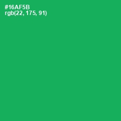 #16AF5B - Green Haze Color Image