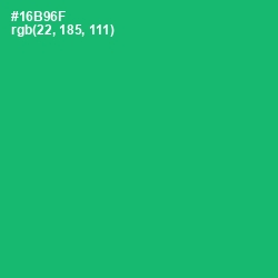 #16B96F - Jade Color Image