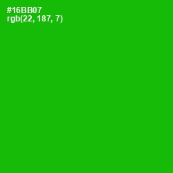 #16BB07 - Forest Green Color Image