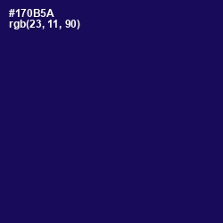 #170B5A - Gulf Blue Color Image