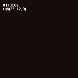 #170C09 - Asphalt Color Image