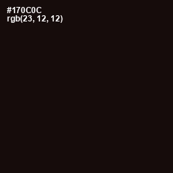 #170C0C - Asphalt Color Image