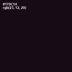 #170C14 - Cinder Color Image