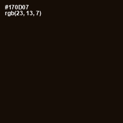 #170D07 - Asphalt Color Image