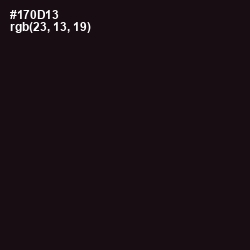 #170D13 - Night Rider Color Image