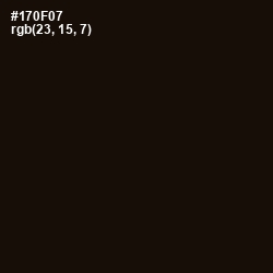 #170F07 - Asphalt Color Image