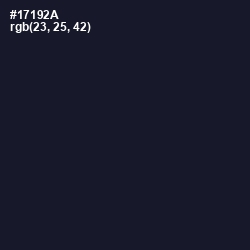 #17192A - Mirage Color Image