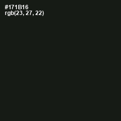 #171B16 - Hunter Green Color Image