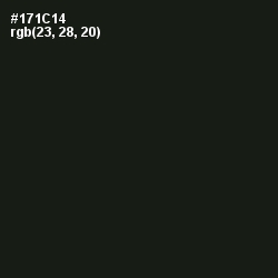 #171C14 - Hunter Green Color Image