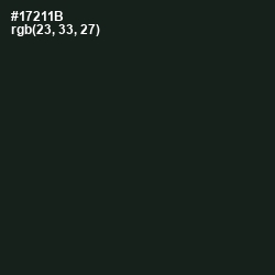 #17211B - Seaweed Color Image