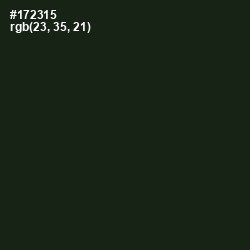 #172315 - Seaweed Color Image
