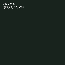 #17231C - Seaweed Color Image