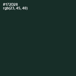 #172D28 - Timber Green Color Image