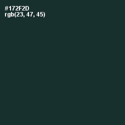 #172F2D - Timber Green Color Image