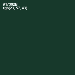 #17392B - Timber Green Color Image