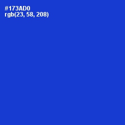 #173AD0 - Dark Blue Color Image