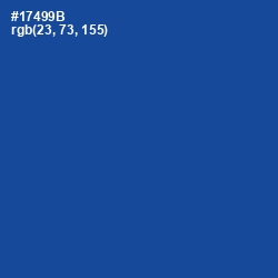 #17499B - Congress Blue Color Image