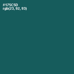 #175C5D - Eden Color Image
