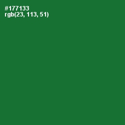 #177133 - Fun Green Color Image