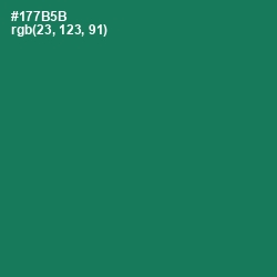#177B5B - Salem Color Image