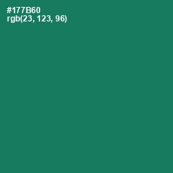 #177B60 - Genoa Color Image