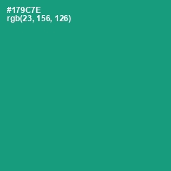 #179C7E - Elf Green Color Image