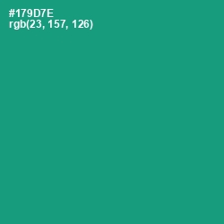 #179D7E - Elf Green Color Image