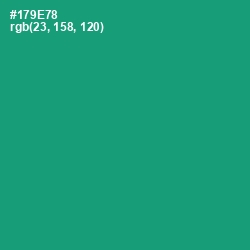 #179E78 - Elf Green Color Image