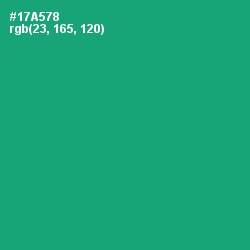 #17A578 - Jade Color Image