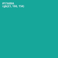 #17A69A - Persian Green Color Image