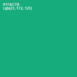 #17AC7B - Jade Color Image