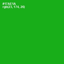 #17AE1A - Forest Green Color Image