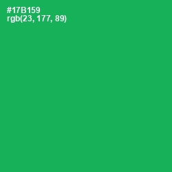 #17B159 - Green Haze Color Image