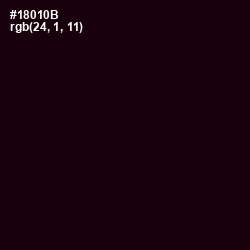 #18010B - Asphalt Color Image