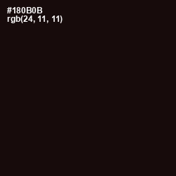 #180B0B - Asphalt Color Image