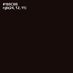#180C0B - Asphalt Color Image