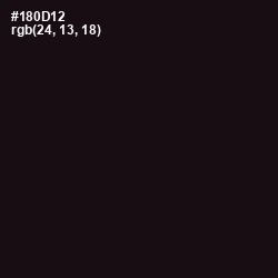 #180D12 - Night Rider Color Image