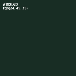 #182D23 - Celtic Color Image