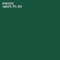 #18553E - Te Papa Green Color Image
