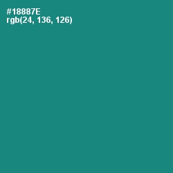 #18887E - Elf Green Color Image