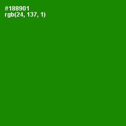 #188901 - Forest Green Color Image