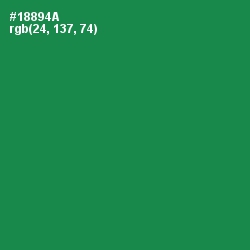 #18894A - Eucalyptus Color Image