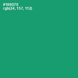 #189D70 - Elf Green Color Image