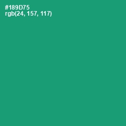 #189D75 - Elf Green Color Image