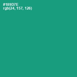 #189D7E - Elf Green Color Image