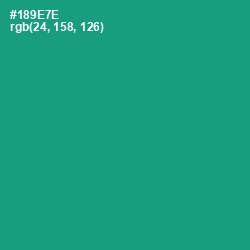 #189E7E - Elf Green Color Image