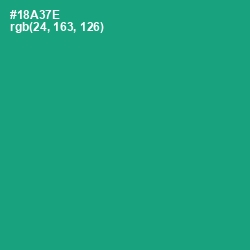 #18A37E - Jade Color Image
