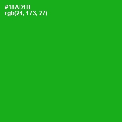 #18AD1B - Forest Green Color Image