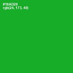 #18AD28 - Forest Green Color Image